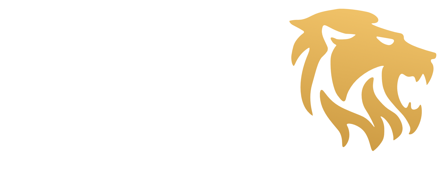 FAWZ Pro