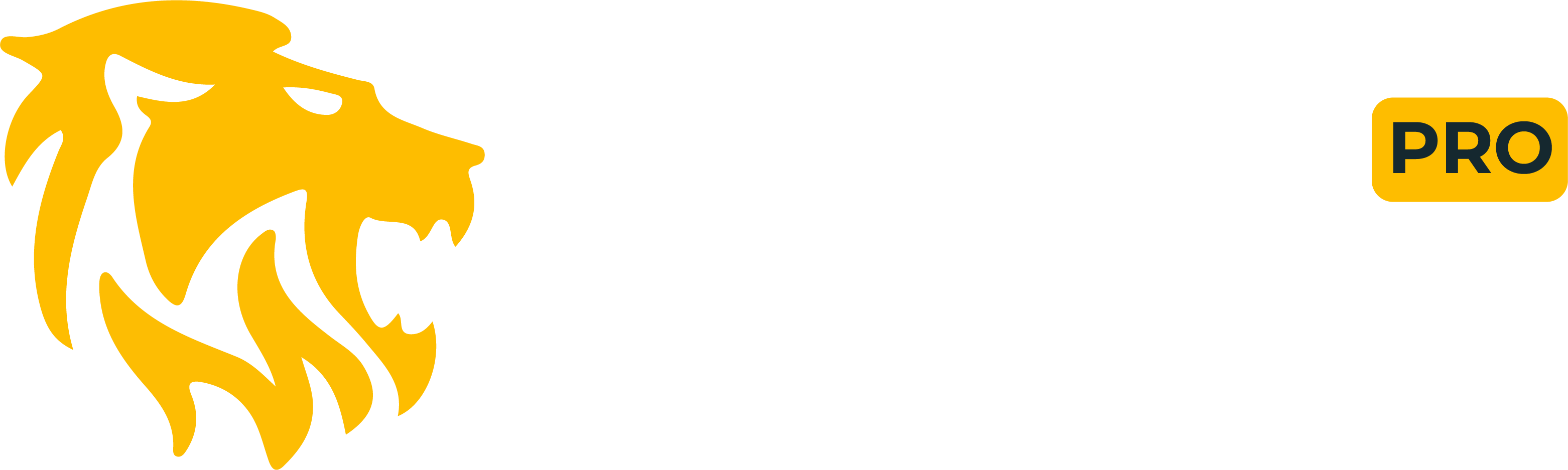 FAWZ Pro